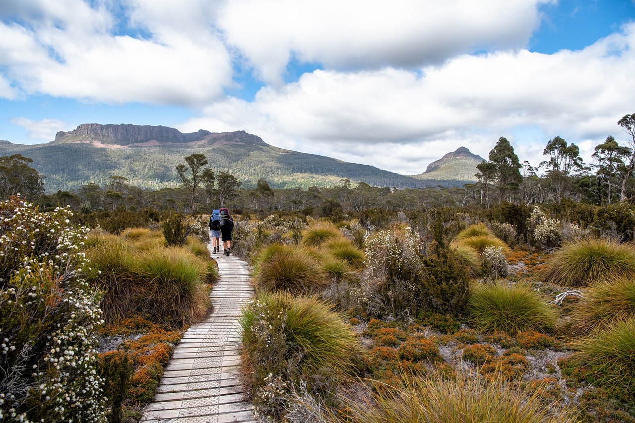 overland track, tasmania, nature-3906035.jpg